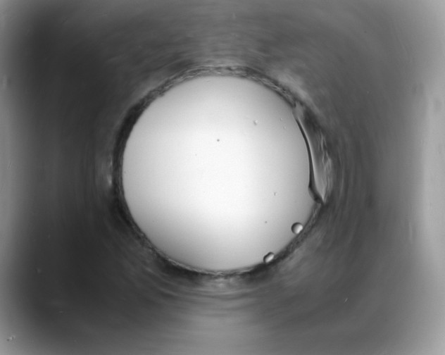 X0000088071165200706081704