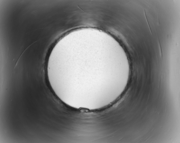 X0000088071168200706081703
