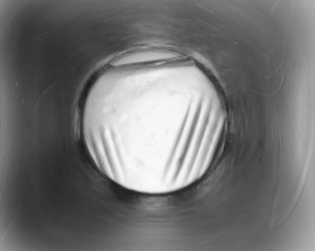 X0000088071171200706081703