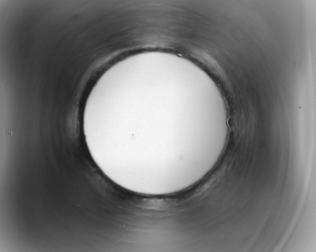 X0000088071172200706081703