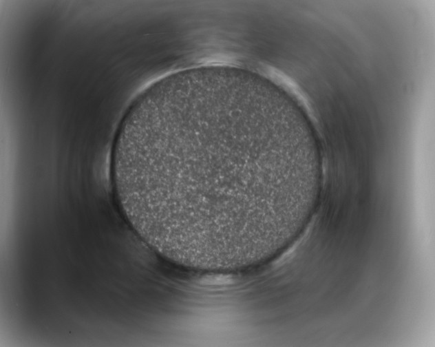 X0000088071174200706081703