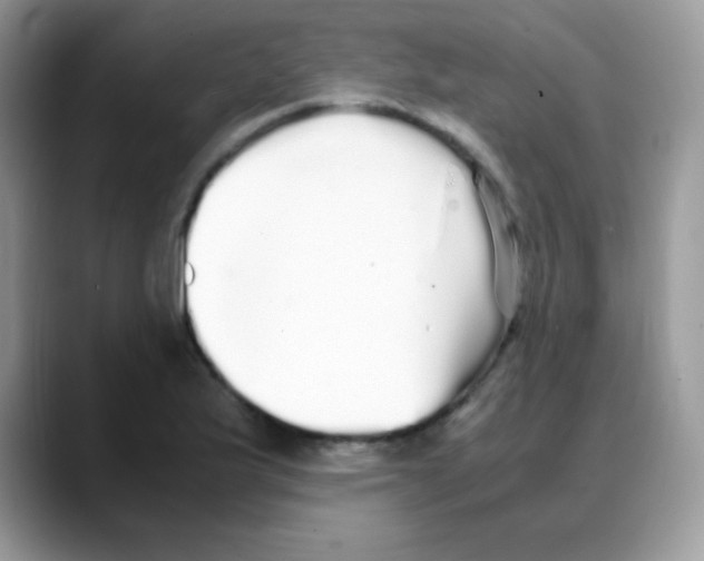 X0000088071175200706081703