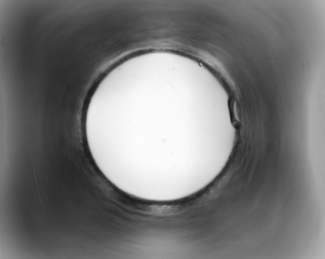X0000088071176200706081703