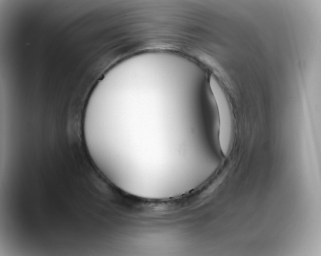 X0000088071177200706081703