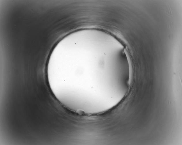 X0000088071181200706081703