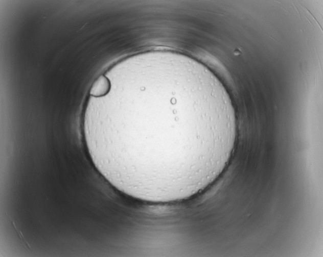 X0000088071182200706081703