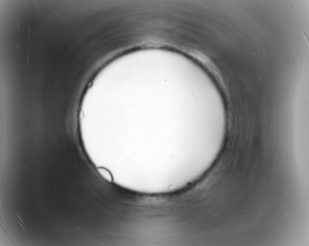 X0000088071183200706081703