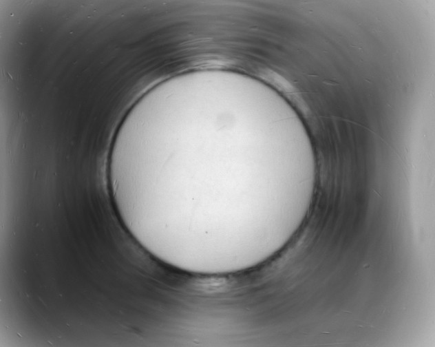 X0000088071186200706081703