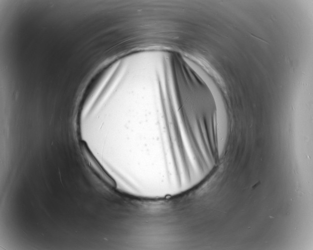 X0000088071189200706081703