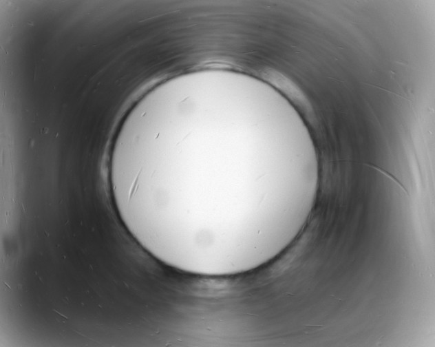 X0000088071190200706081703