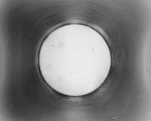 X0000088071191200706081703