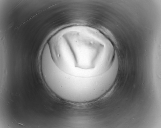 X0000088071192200706081703
