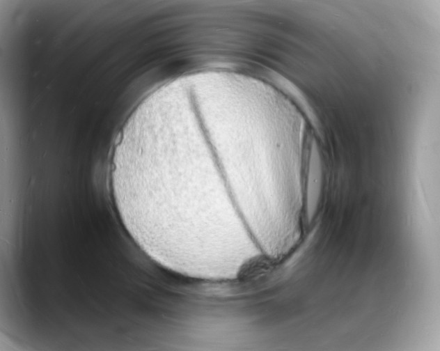 X0000088071194200706081703