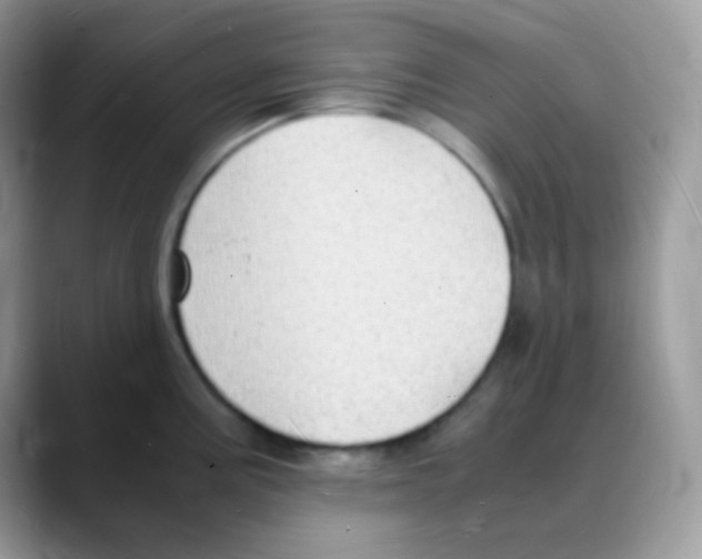 X0000088071195200706081703