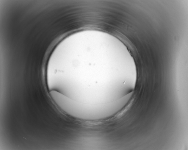 X0000088071196200706081703