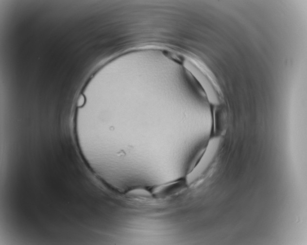 X0000088071197200706081703