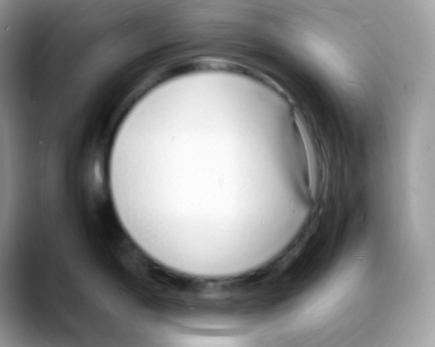 X0000088071198200706081703
