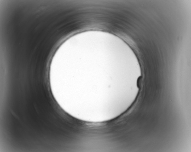 X0000088071200200706081703
