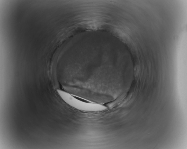 X0000088071202200706081702