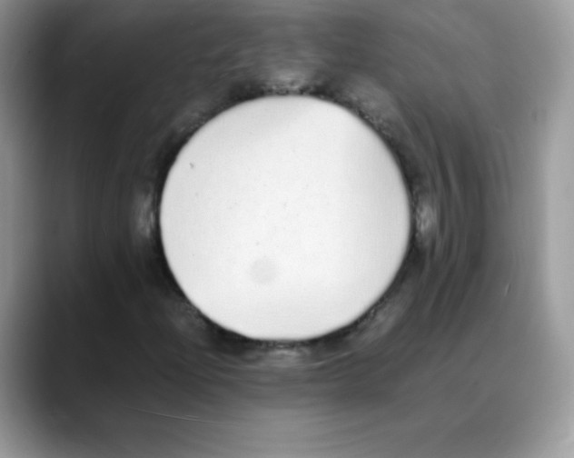 X0000088071204200706081702