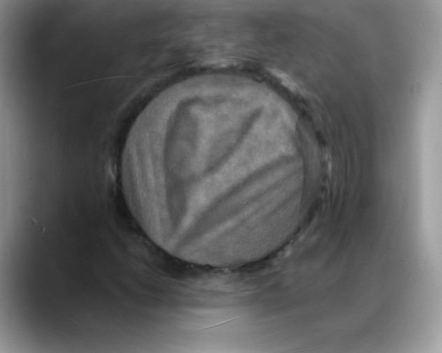 X0000088071206200706081703