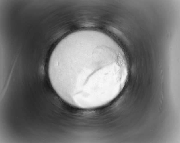 X0000088071209200706081703