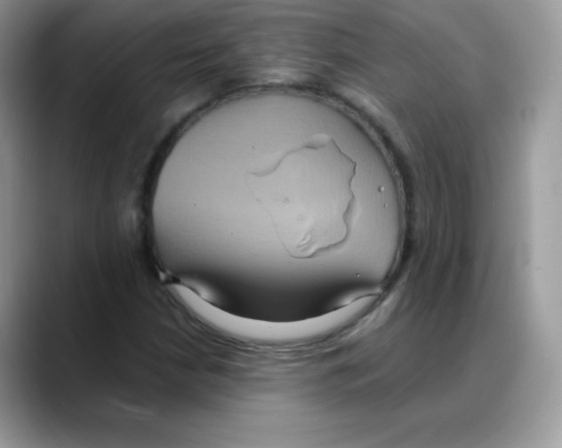 X0000088071210200706081703