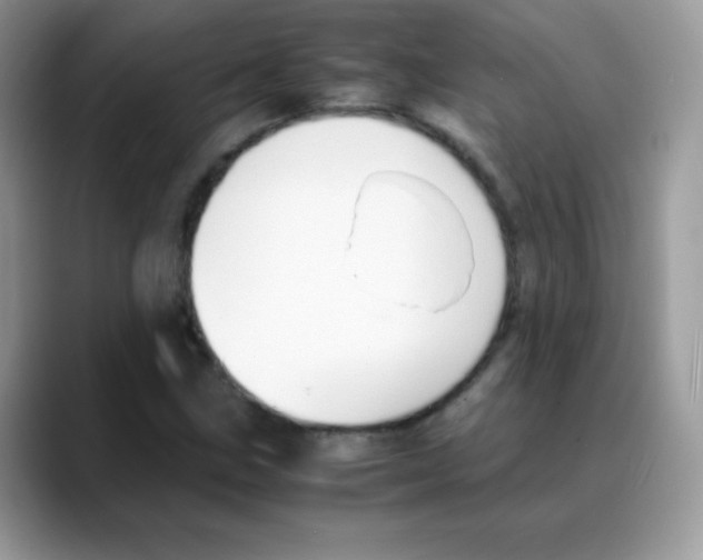 X0000088071211200706081703