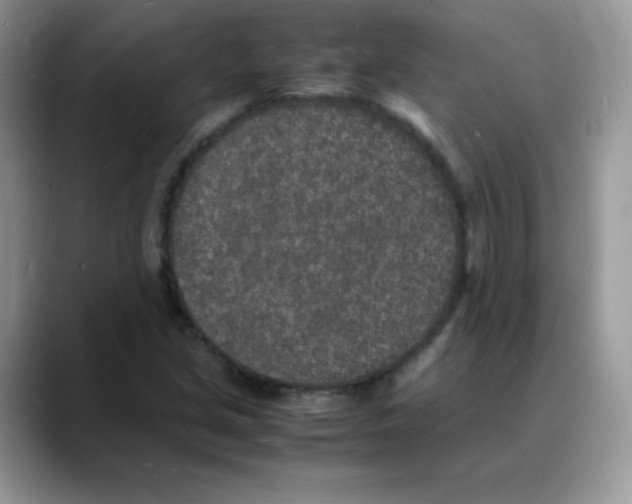 X0000088071213200706081703