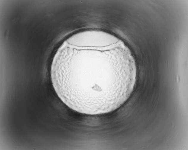 X0000088071215200706081703