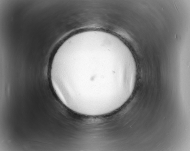X0000088071216200706081703