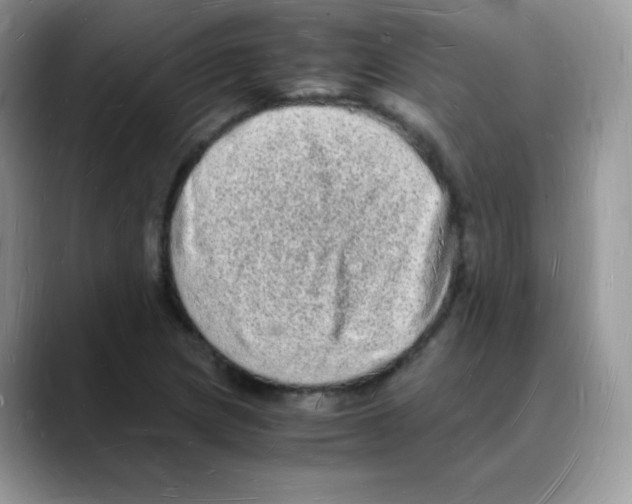 X0000088071217200706081703