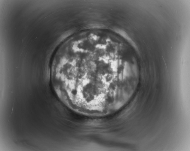 X0000088071221200706081703