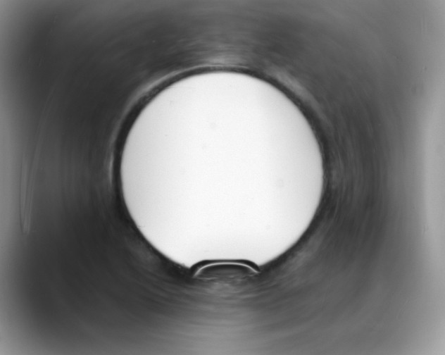 X0000088071222200706081703
