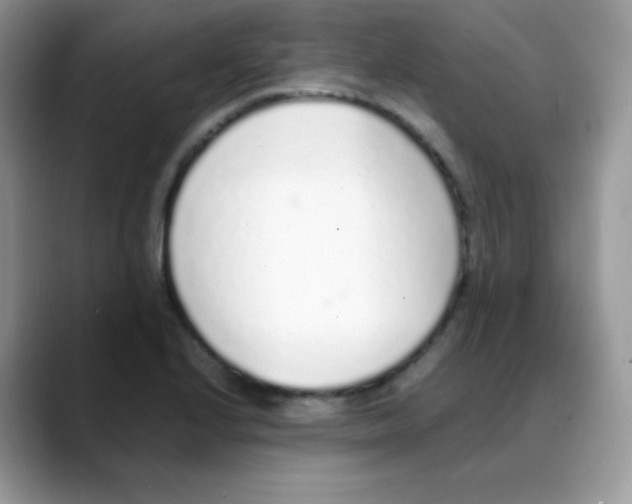 X0000088071224200706081703