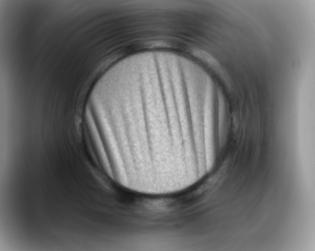 X0000088071225200706081703