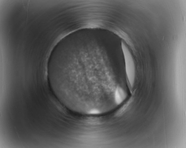 X0000088071226200706081703