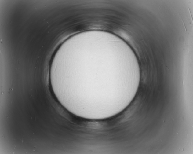 X0000088071227200706081703