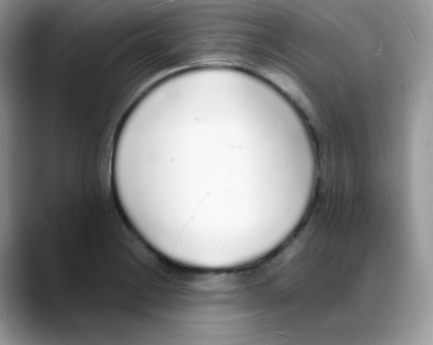 X0000088071228200706081703