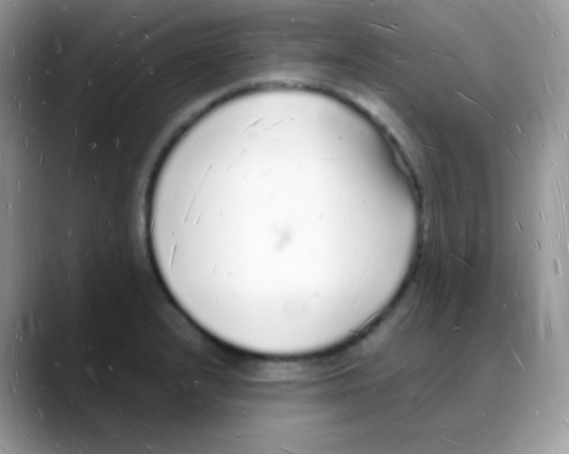 X0000088071232200706081703