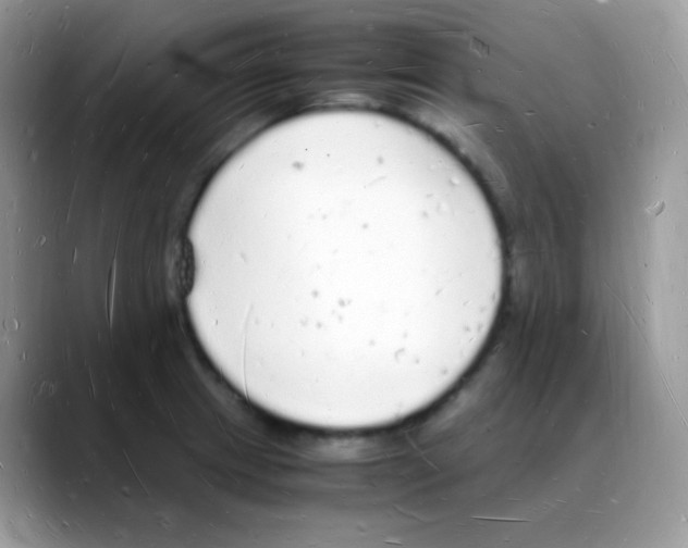 X0000088071233200706081703