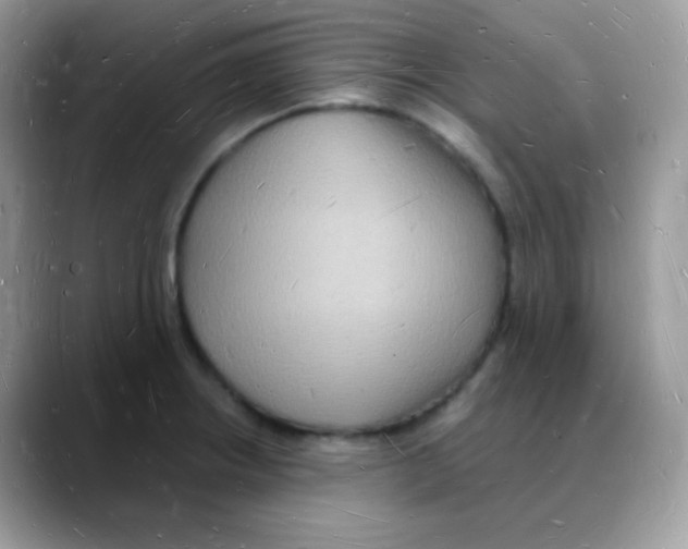 X0000088071234200706081703