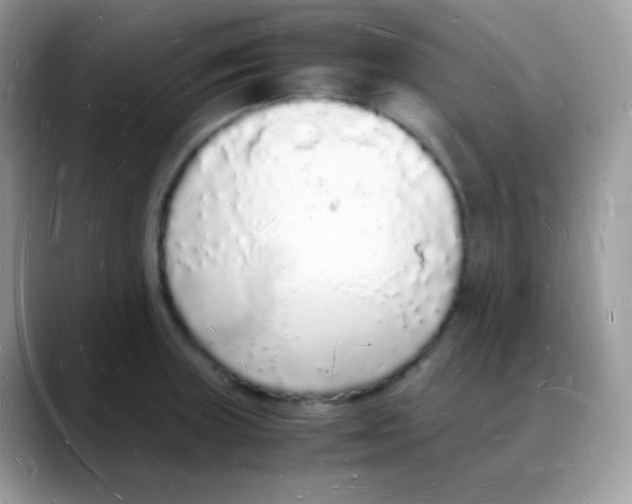 X0000088071235200706081703