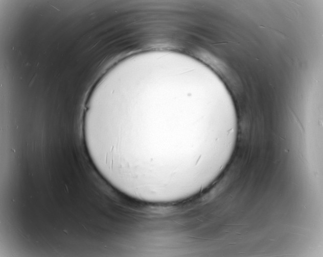 X0000088071236200706081703