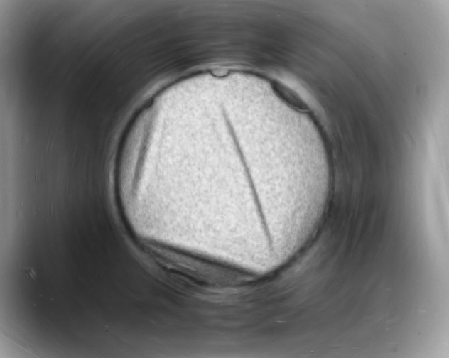 X0000088071237200706081703