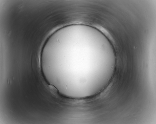 X0000088071238200706081703
