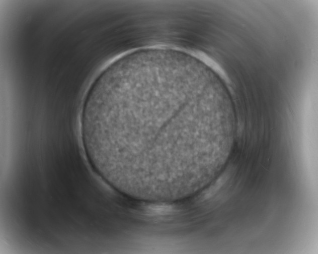 X0000088071239200706081703