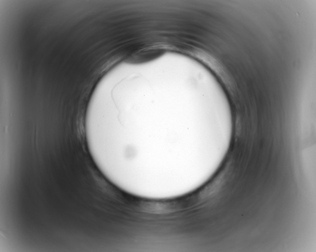 X0000088071241200706081703