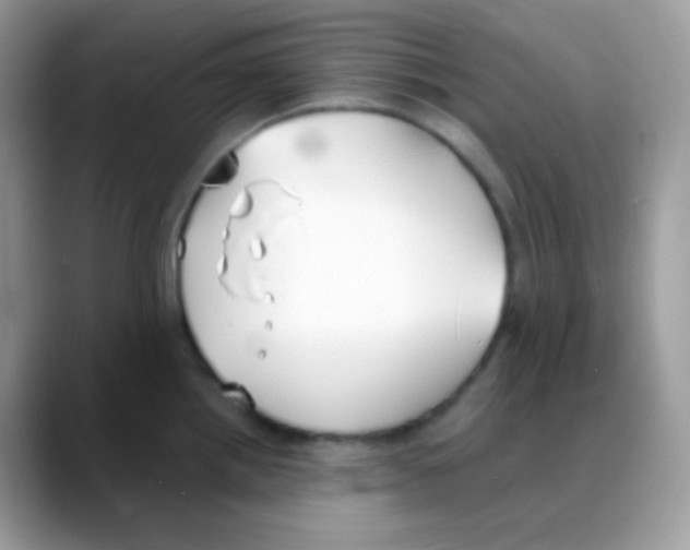 X0000088071242200706081703