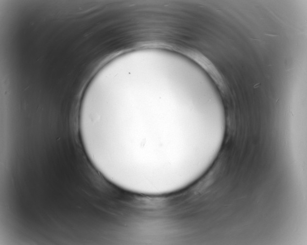 X0000088071244200706081703